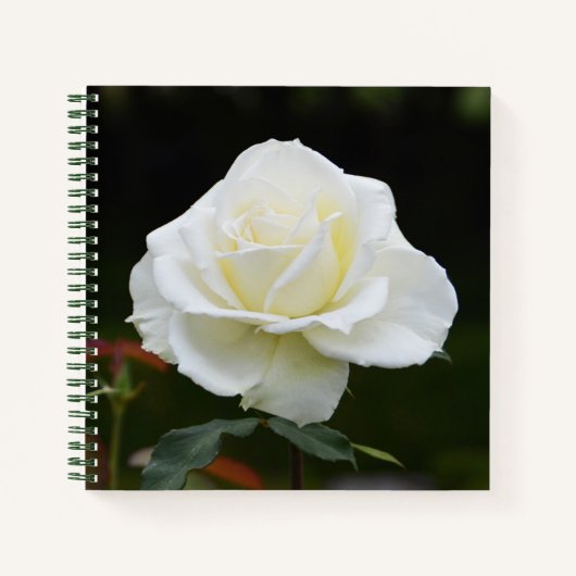 Notitieboek van witte rozenbloem (Voorkant)