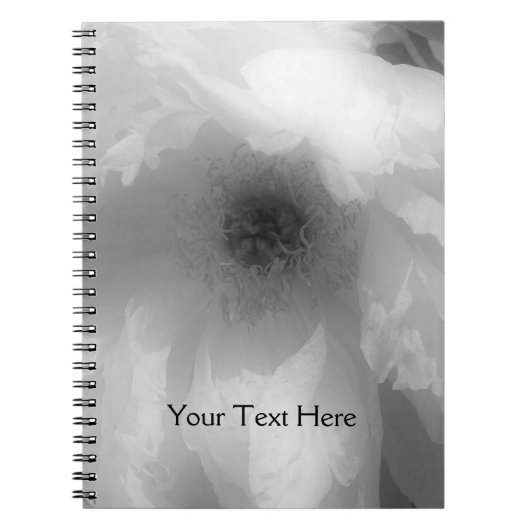 Notitieboek van zwarte en witte pony's (Voorkant)