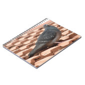 Notitieboek voor dakduif (Linkerzijde)