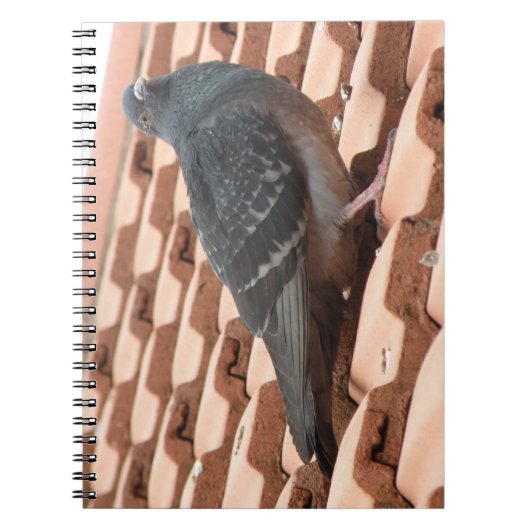 Notitieboek voor dakduif (Voorkant)