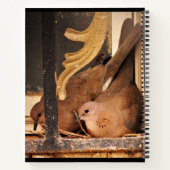 Notitieboek voor de bereiding (Achterkant)