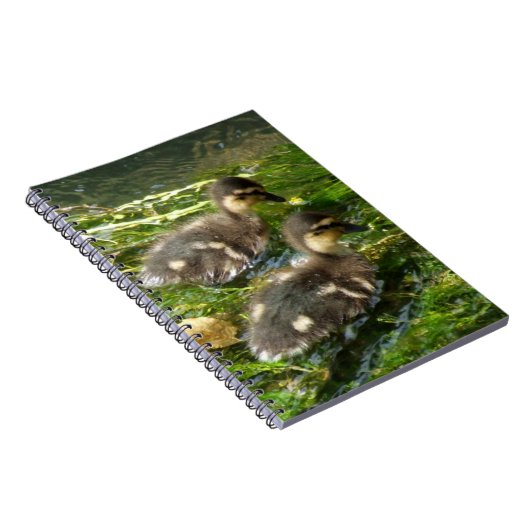 Notitieboek voor deklagen (Rechterzijde)