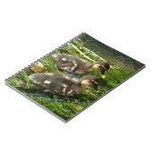 Notitieboek voor deklagen (Linkerzijde)