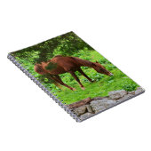 Notitieboek voor graaspaarden (Rechterzijde)
