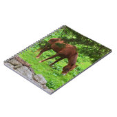 Notitieboek voor graaspaarden (Linkerzijde)