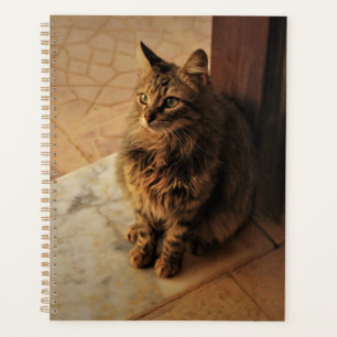 Notitieboek voor vreedzaam Kat
