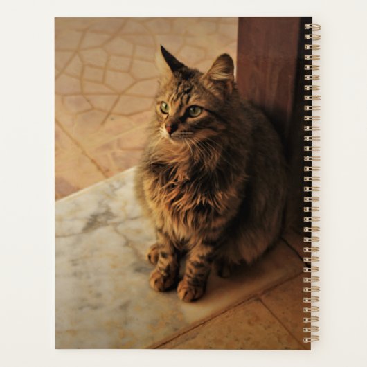 Notitieboek voor vreedzaam Kat (Achterkant)