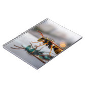 Notitieboek voor wespenreflectie (Linkerzijde)