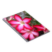 Notitieboek woestijnRoos (Rechterzijde)