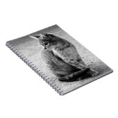 Notitieboek zwart-wit Kitten (Rechterzijde)