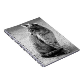 Notitieboek zwart-wit Kitten