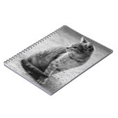 Notitieboek zwart-wit Kitten (Linkerzijde)