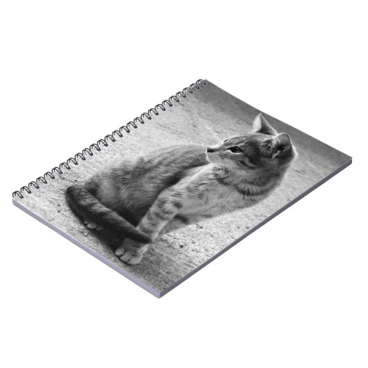 Notitieboek zwart-wit Kitten (Linkerzijde)