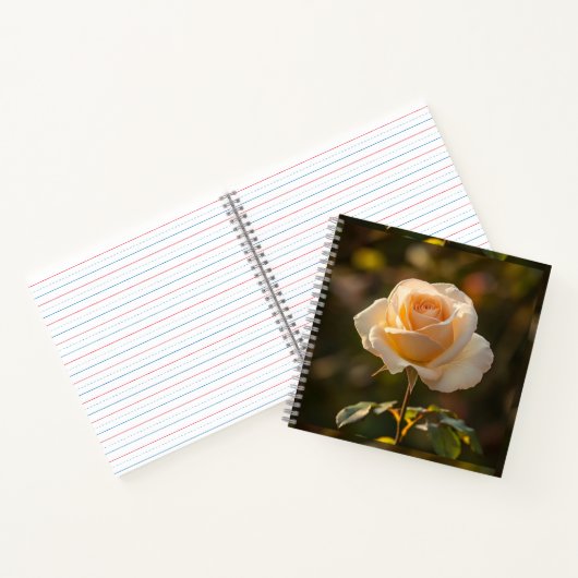 Notitieboeken & Journals (Binnen)