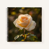 Notitieboeken & Journals (Voorkant)