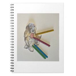 Notitieboeken van Bassie