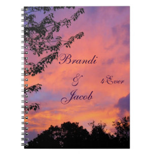 Notitieboeken voor de Romance van de zomerzonsonde