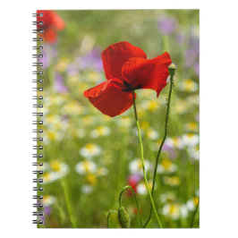 Notitieboekje - De rode klaproos foto Notitieboek