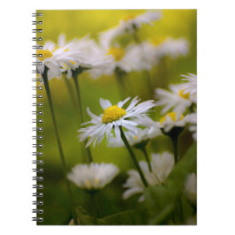 Notitieboekje - Foto van madeliefjes Notitieboek