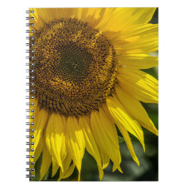 Notitieboekje - Gele Zonnebloem Notitieboek