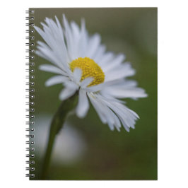 Notitieboekje - Madeliefje bloemenfotografie Notitieboek