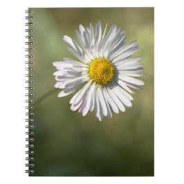 Notitieboekje - Madeliefje Bloemfotografie Notitieboek