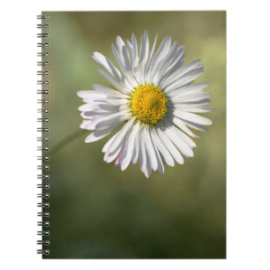 Notitieboekje - Madeliefje Bloemfotografie Notitieboek