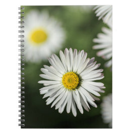 Notitieboekje - Madeliefjes bloemen fotografie Notitieboek