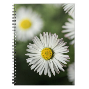 Notitieboekje - Madeliefjes bloemen fotografie Notitieboek