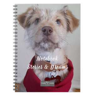 Notitieboekje Notitieboek