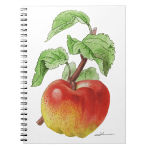 Notitieboekje "Pomme Jeanne Hardy" Notitieboek