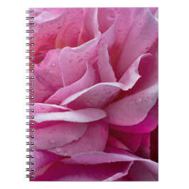 Notitieboekje - Roze Rozenblaadjes En Dauwdruppel Notitieboek