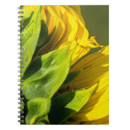 Notitieboekje - Zonnebloem Achterprofiel Notitieboek
