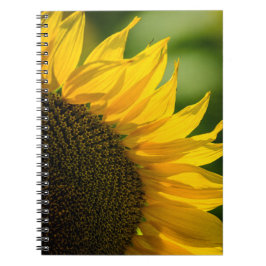 Notitieboekje - Zonnebloem Bloem Natuur Fotografie Notitieboek