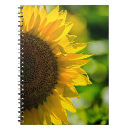 Notitieboekje - Zonnebloem in het veld Notitieboek