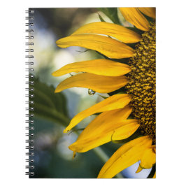 Notitieboekje - Zonnebloem met regendruppels Notitieboek