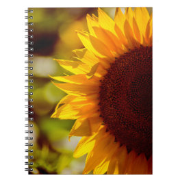 Notitieboekje - Zonnebloem op het veld fotografie Notitieboek