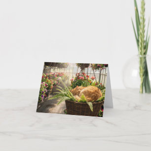 Notitiekaart kat die slaapt in een hangende varenm