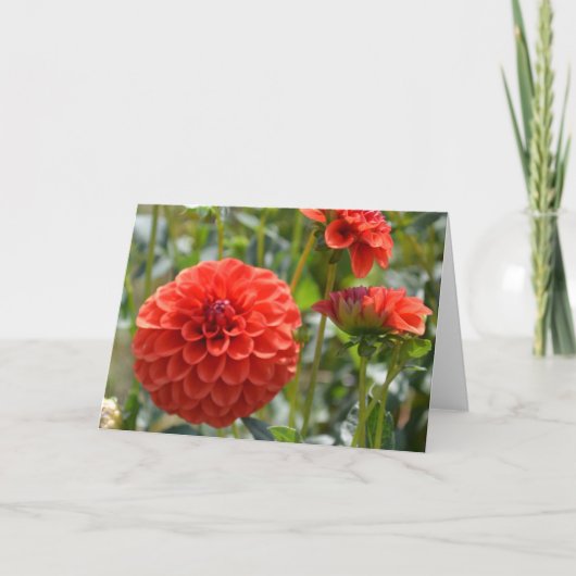 Notitiekaart met oranje dahlia (Voorkant)