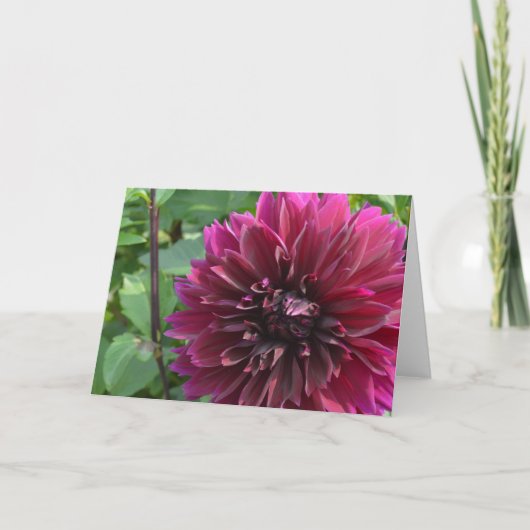 Notitiekaart met paarse dahlia (Voorkant)