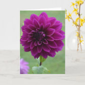 Notitiekaart met paarse dahlia in een tuin (Gele Bloem)