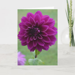 Notitiekaart met paarse dahlia in een tuin
