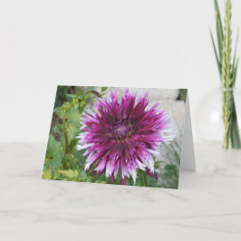 Notitiekaart met paarse en witte dahlia