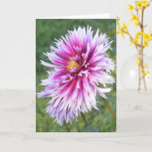 Notitiekaart met paarse en witte dahlia (Gele Bloem)