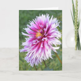 Notitiekaart met paarse en witte dahlia