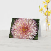 Notitiekaart met roze en witte stekelige dahlia (Gele Bloem)
