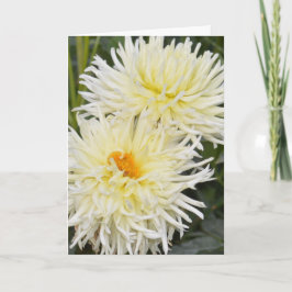 Notitiekaart met twee witte dahlia's