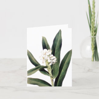 Notitiekaart met witte bloem