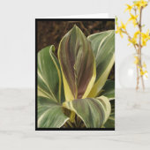 Notitiekaart van Ti plant met kunstzinnig filter (Gele Bloem)