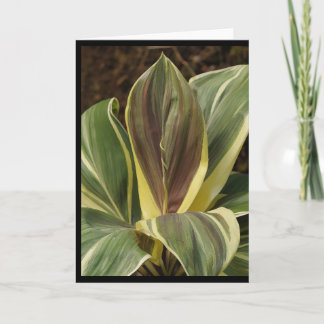 Notitiekaart van Ti plant met kunstzinnig filter